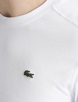 Camiseta básica WHITE Lacoste