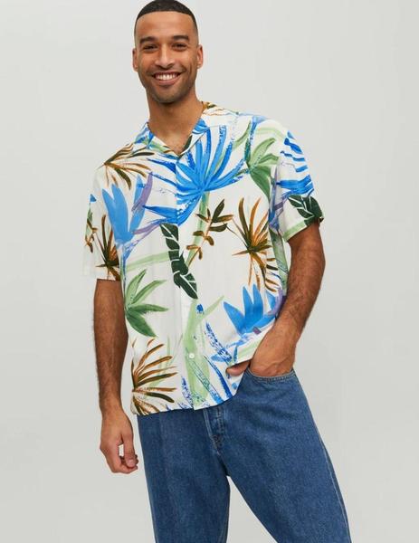 Gallery a03627 lupeezan